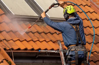 Démoussage et hydrofuge de toiture à Monnet-la-Ville