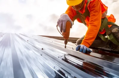 Travaux de zinguerie à Monnet-la-Ville